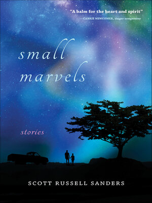 Small Marvels - ebook